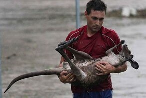 15 трогательных кадров, которые доказывают, что счастливый конец существует