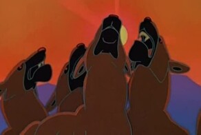 Красный волк и интересные факты о нем