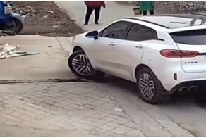 Автомобилист случайно катапультировал пса