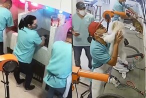Позитивное видео от бразильских грумеров