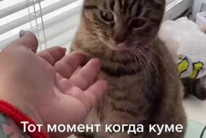 Топ 10 неожиданных концовок