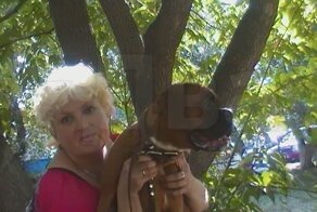 Четыре бульдога «почуяли кровь» и чуть не сожрали свою хозяйку