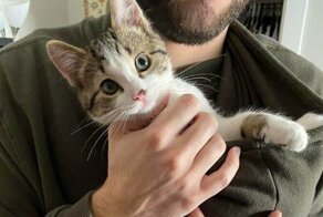 20+ фото животных после спасения, которые греют душу