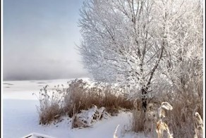 Зима в Шатуре (33 фото)