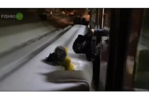 Эффектная высадка пассажиров в сугробы