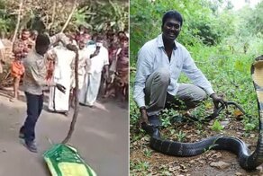 Заклинатель змей в реанимации: заклинание не сработало