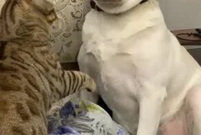 Очень жизненно! 