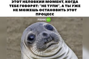 Спонсором этого поста стали производители тормозной жидкости