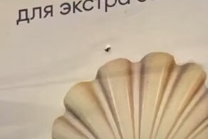 "Вот так он и появился на свет": в соцсетях возмущены блогером, который проткнул пачку презервативов в супермаркете