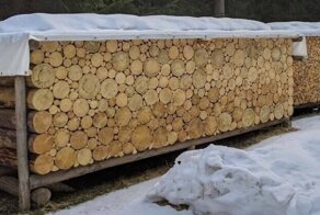 20 фотографий для услады глаз