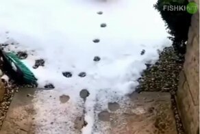 Пошел по проверенному пути