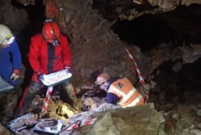 В Англии ученые нашли останки животных ледникового периода