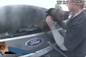 Не только в горящую избу, но в ледяную прорубь: русская женщина во всей красе