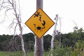 15 раз, когда люди находили вещи, которые требовали немедленного объяснения