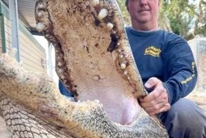 В США охотник убил 80-летнего аллигатора длиной около 4-х метров и весом более 400 кг