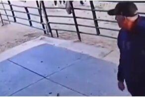 Петух, знай своё место!