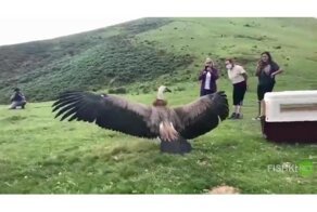 Долгожданная свобода