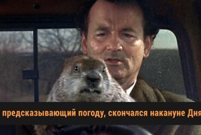 Этот безумный мир: 11 невероятных, но правдивых новостей