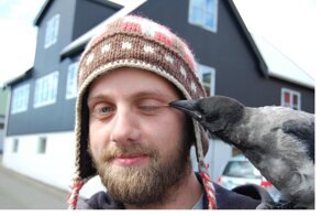 Животные не могут испортить фотографию: 15 доказательств