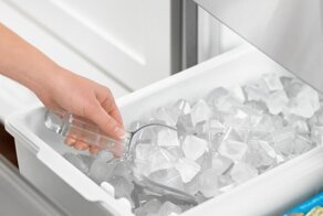 Пес растопил сердца хозяев и теперь сам генерирует для себя любимое ледяное лакомство