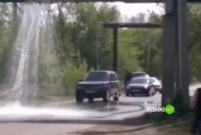 Бесплатная мойка