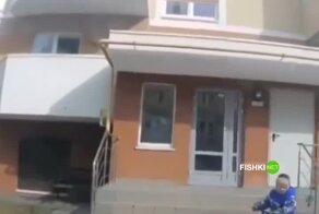 Маленький помощник