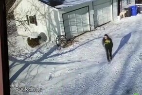 Неожиданно упавший на землю кот напугал девушку