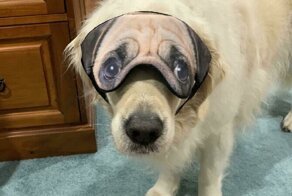 Когда онлайн-шоппинг не удался