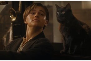 Котаник: если бы в «Титанике» снималась кошка