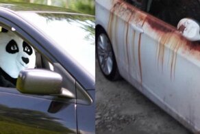 Ржавь и панды: забавные и полезные украшения для авто