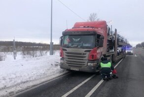 Двигался нервно и неровно: инспекторам пришлось стрелять по колесам автовоза