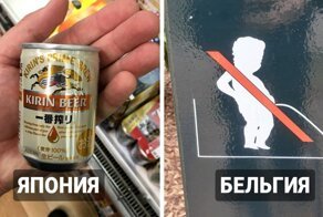 Интересности из разных стран мира