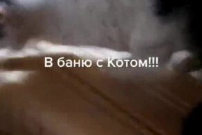 Кот обожает париться в бане