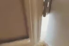 Каждый раз одно и то же