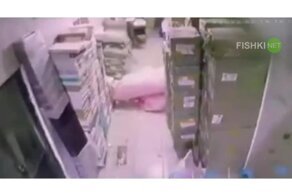 Маршрут перестроен: невнимательный мужчина почувствовал себя Марио