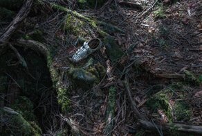 Лес самоубийц: самое мрачное место на земле