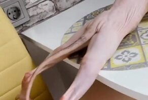 Ты – не ты, когда голоден