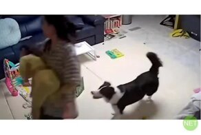 Полёты в порядке очереди
