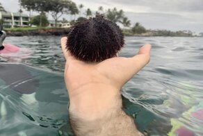 Не стоит доверять даже собственным глазам: 17 запутанных фото