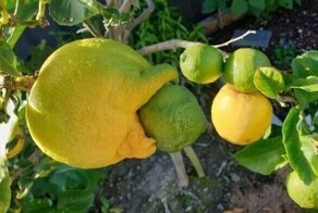 35 снимков, от которых становится слегка не по себе