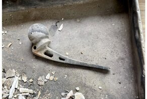 "Все, что осталось от бабушки": внук выложил в сеть фото протеза после кремации