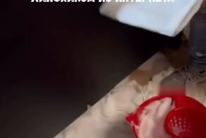 Типичный лайфхак из интернета