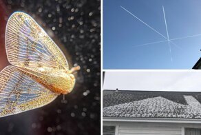 20 фото занятных вещиц и явлений, которые не каждый день увидишь