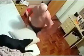 Благодаря собаке овдовевший мужчина не грустит и вновь радуется жизни