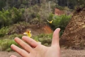 Диснеевская принцесса в реальной жизни