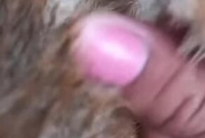 Отличная блохоловка