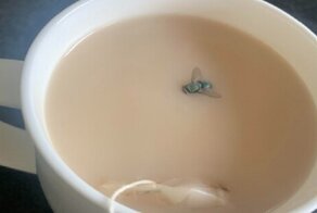 20 человек, чей день сегодня явно не задался