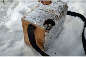 Дайте рыбов: голодный зверёк пришел к рыбакам
