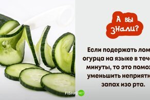 14 фактов в стиле 