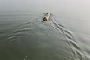 Время водных процедур